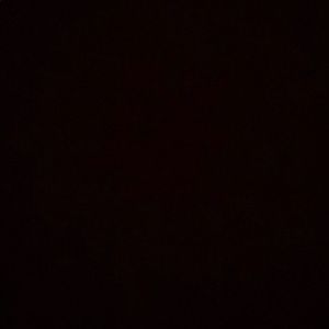 Meet your Posher, Amelia